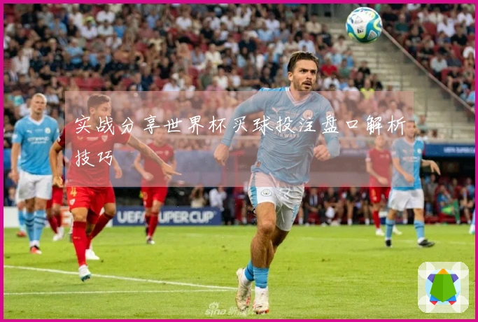 实战分享世界杯买球投注盘口解析技巧