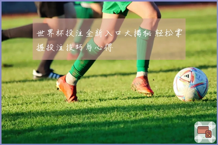 世界杯投注全新入口大揭秘 轻松掌握投注技巧与心得