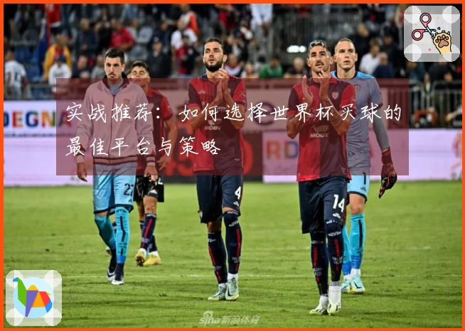 实战推荐：如何选择世界杯买球的最佳平台与策略