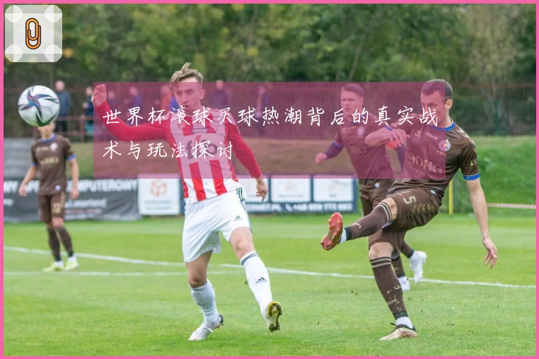 世界杯滚球买球热潮背后的真实战术与玩法探讨