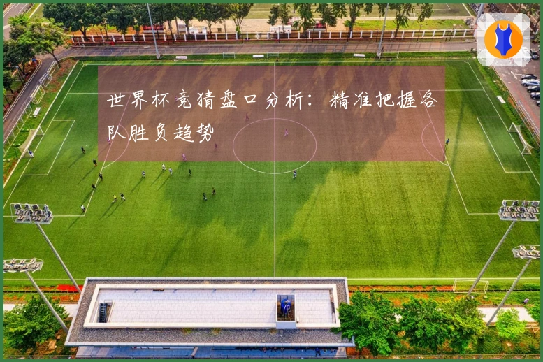 世界杯竞猜盘口分析：精准把握各队胜负趋势