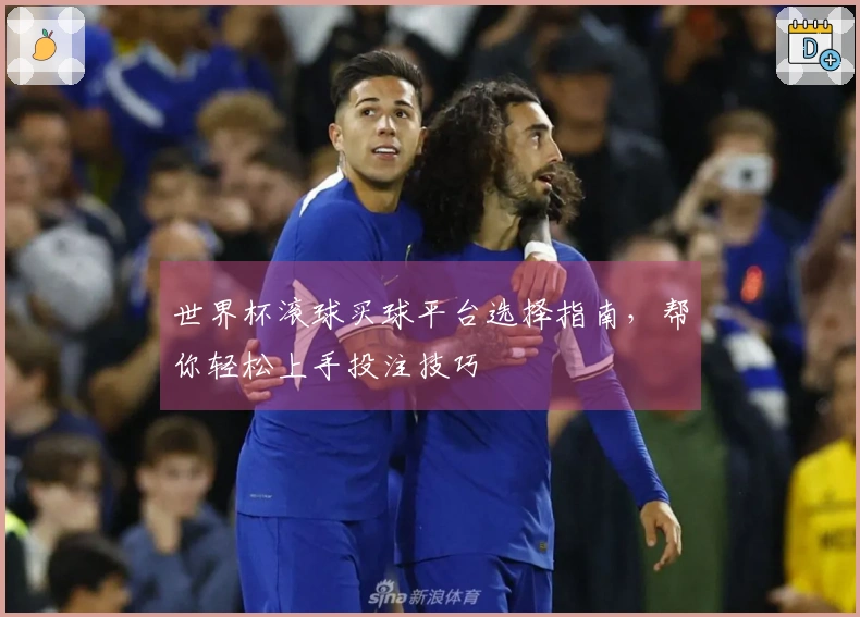 世界杯滚球买球平台选择指南，帮你轻松上手投注技巧