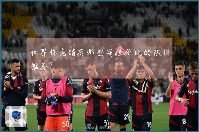 世界杯竞猜有哪些高性价比的热门推荐？