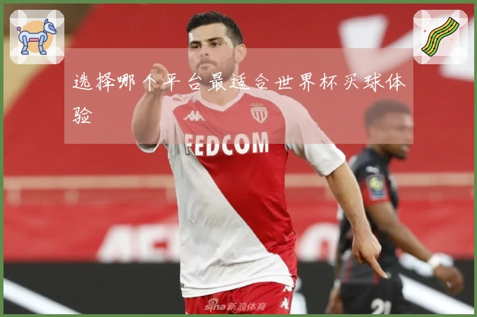 选择哪个平台最适合世界杯买球体验