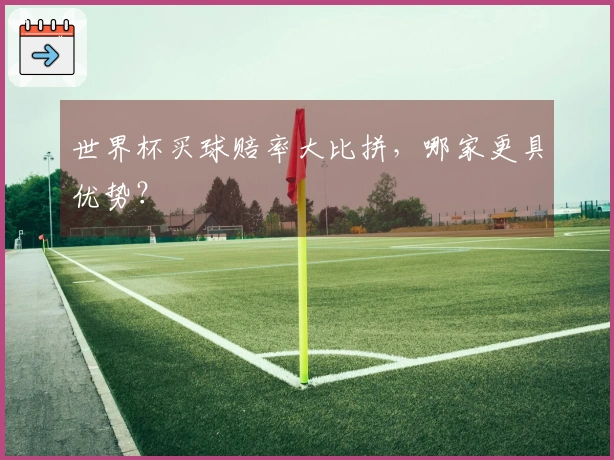 世界杯买球赔率大比拼，哪家更具优势？