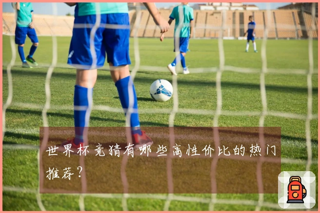 世界杯竞猜有哪些高性价比的热门推荐？
