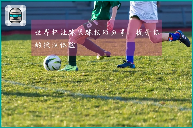 世界杯让球买球技巧分享，提升你的投注体验
