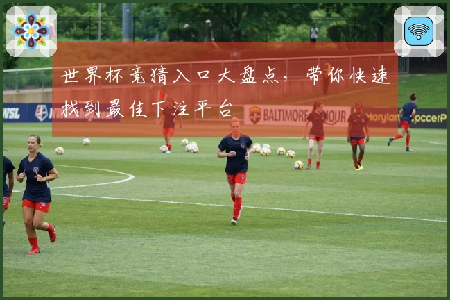 世界杯竞猜入口大盘点,带你快速找到最佳下注平台