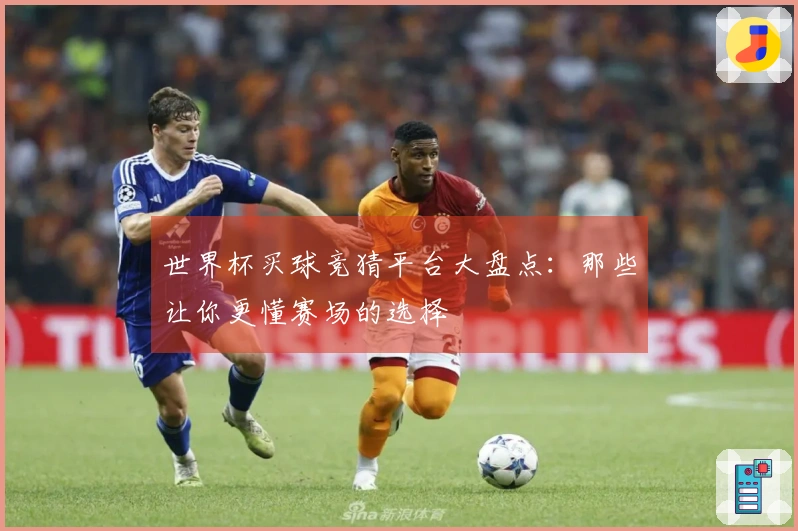 世界杯买球竞猜平台大盘点：那些让你更懂赛场的选择