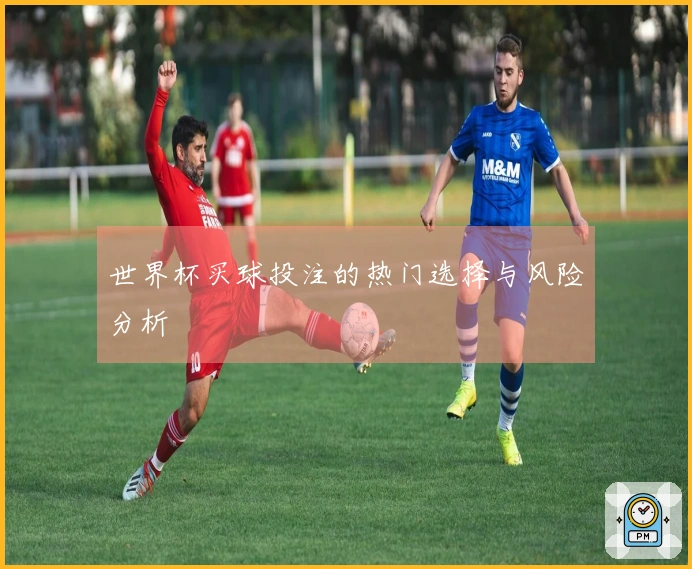 世界杯买球投注的热门选择与风险分析